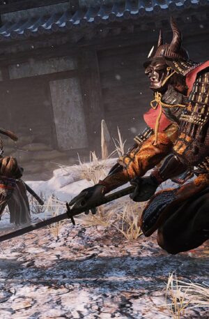 Sekiro: Shadows Die Twice – Offline Mode